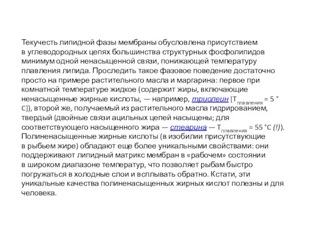 Текучесть липидной фазы мембраны обусловлена присутствием в углеводородных цепях большинства структурных фосфолипидов