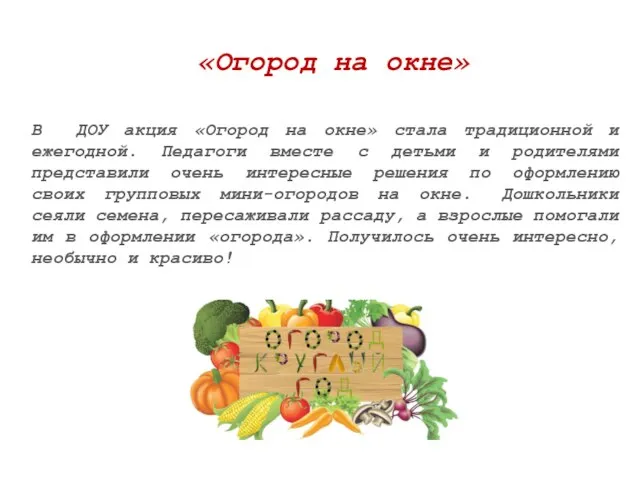 В ДОУ акция «Огород на окне» стала традиционной и ежегодной. Педагоги вместе