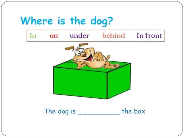 Where is the dog? The dog is __________ the box In on under behind In front