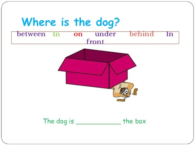 Where is the dog? The dog is ___________ the box between In