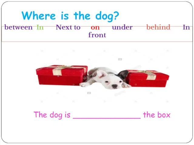Where is the dog? between In Next to on under behind In