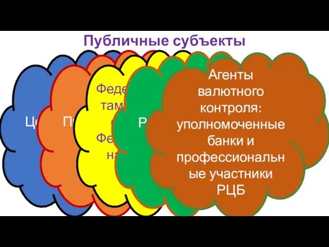 Публичные субъекты Центральный банк РФ Правительство РФ Федеральная таможенная служба и Федеральная