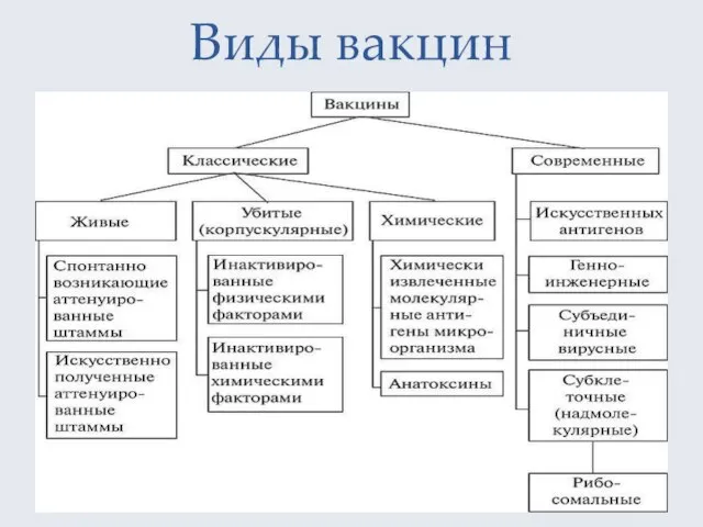 Виды вакцин