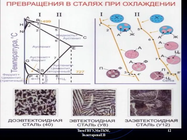 ТюмГНГУ,МиТКМ,ЗолотареваЕВ