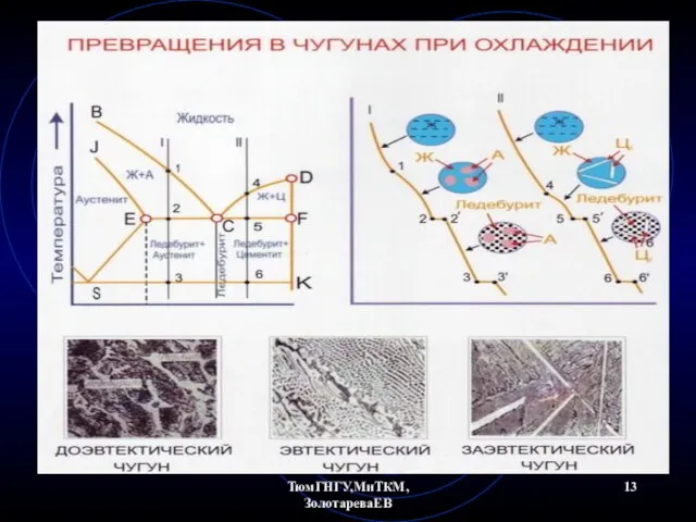 ТюмГНГУ,МиТКМ,ЗолотареваЕВ