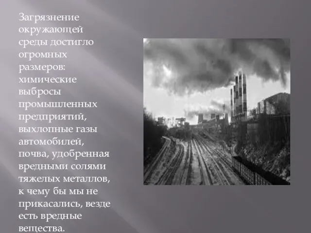 Загрязнение окружающей среды достигло огромных размеров: химические выбросы промышленных предприятий, выхлопные газы