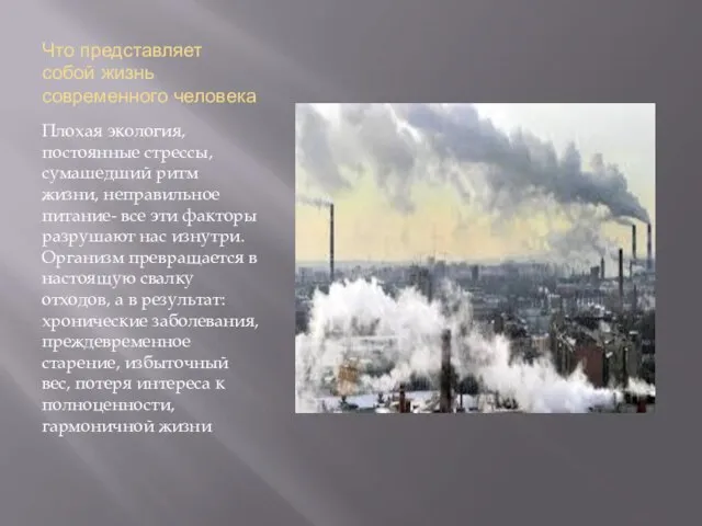 Что представляет собой жизнь современного человека Плохая экология, постоянные стрессы, сумашедший ритм