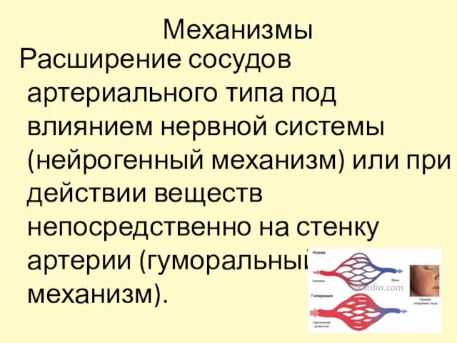 Механизмы Расширение сосудов артериального типа под влиянием нервной системы (нейрогенный механизм) или