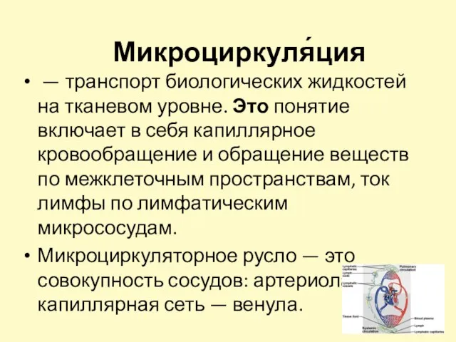 Микроциркуля́ция — транспорт биологических жидкостей на тканевом уровне. Это понятие включает в