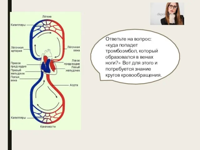 Ответьте на вопрос: «куда попадет тромбоэмбол, который образовался в венах ноги?» Вот