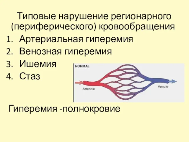 Типовые нарушение регионарного (периферического) кровообращения Артериальная гиперемия Венозная гиперемия Ишемия Стаз Гиперемия -полнокровие