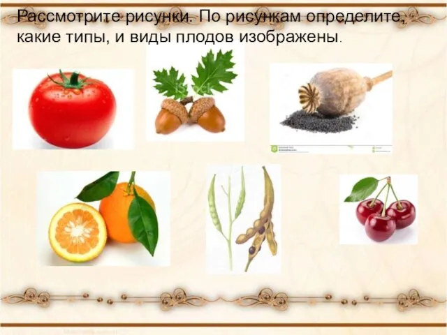 Рассмотрите рисунки. По рисункам определите, какие типы, и виды плодов изображены.
