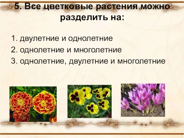 5. Все цветковые растения можно разделить на: 1. двулетние и однолетние 2.