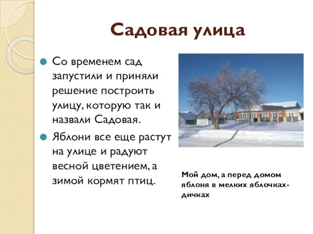 Садовая улица Со временем сад запустили и приняли решение построить улицу, которую