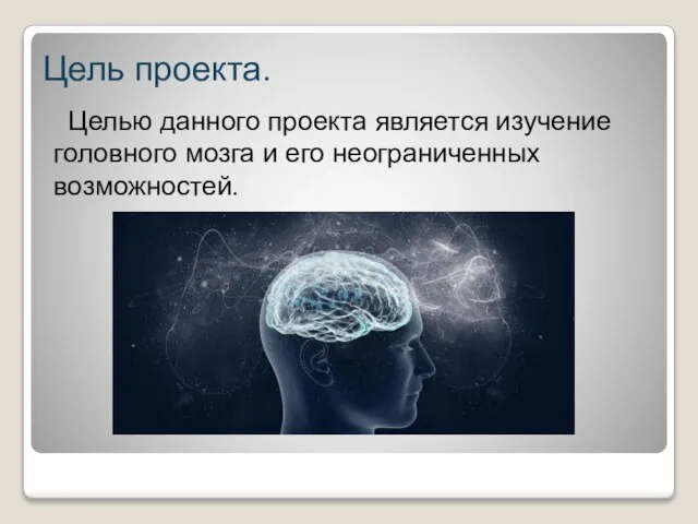 Цель проекта. Целью данного проекта является изучение головного мозга и его неограниченных возможностей.
