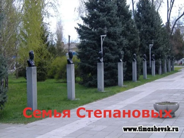 Семья Степановых