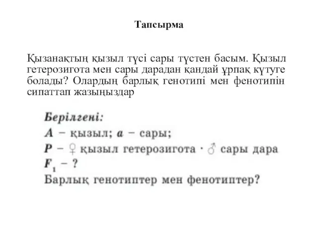 Тапсырма Қызанақтың қызыл түсі сары түстен басым. Қызыл гетерозигота мен сары дарадан