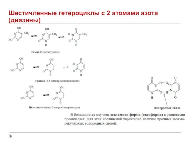 Шестичленные гетероциклы с 2 атомами азота (диазины)