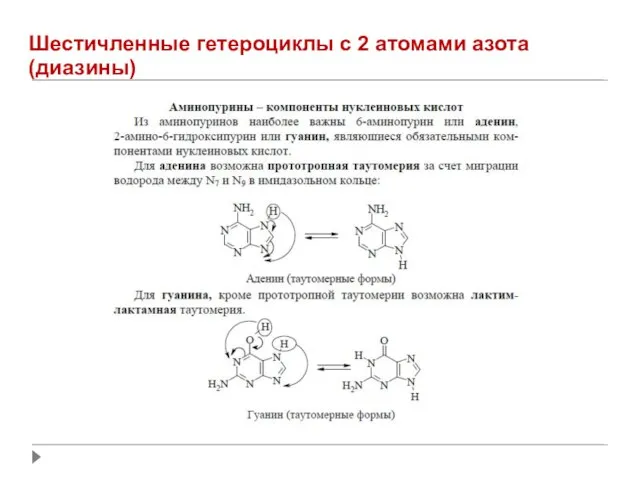 Шестичленные гетероциклы с 2 атомами азота (диазины)