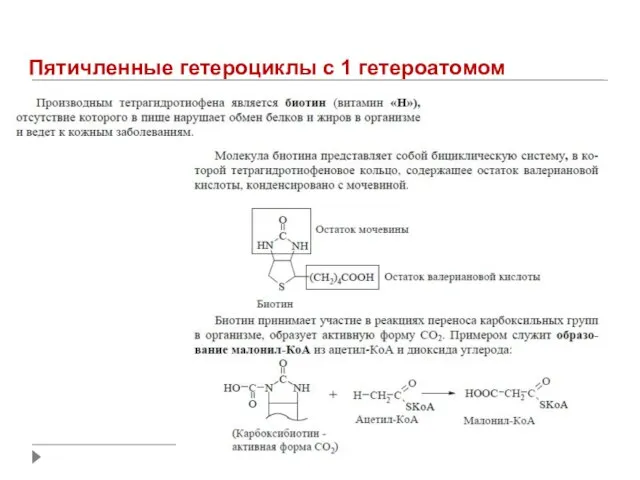 Пятичленные гетероциклы с 1 гетероатомом