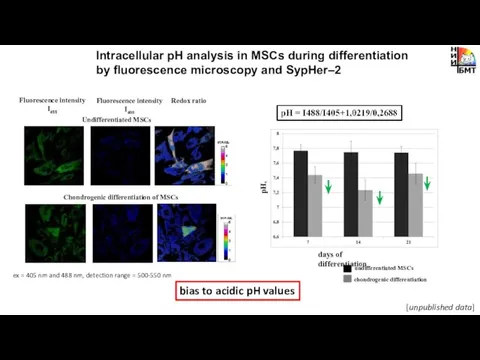 Intracellular pH analysis in MSCs during differentiation by fluorescence microscopy and SypHer–2