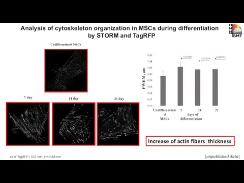 Analysis of cytoskeleton organization in MSCs during differentiation by STORM and TagRFP