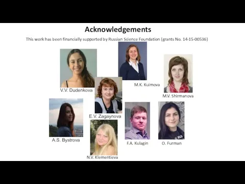 Acknowledgements This work has been financially supported by Russian Science Foundation (grants