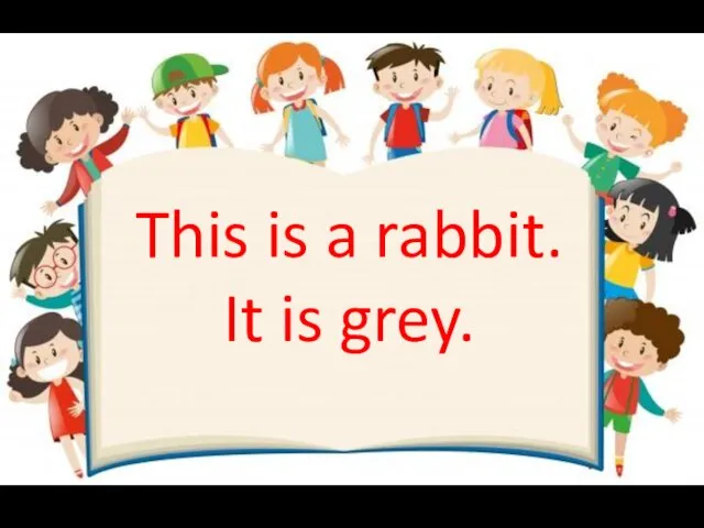 This is a rabbit. It is grey.