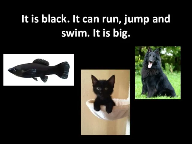 It is black. It can run, jump and swim. It is big.