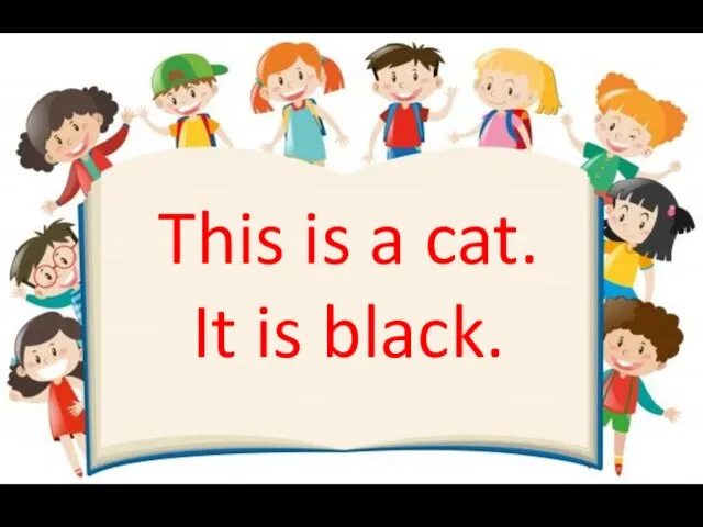 This is a cat. It is black.