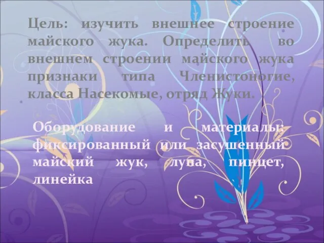 Цель: изучить внешнее строение майского жука. Определить во внешнем строении майского жука