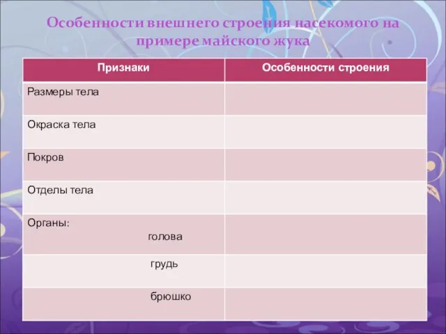 Особенности внешнего строения насекомого на примере майского жука