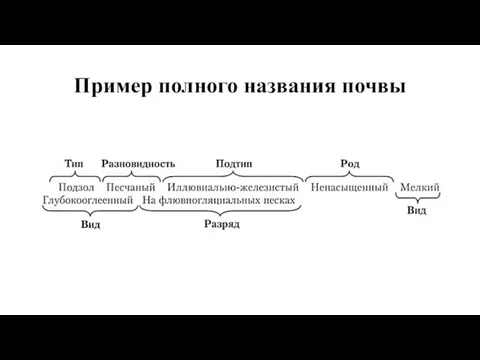 Пример полного названия почвы