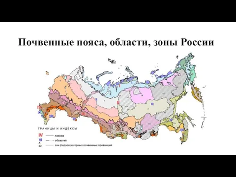 Почвенные пояса, области, зоны России