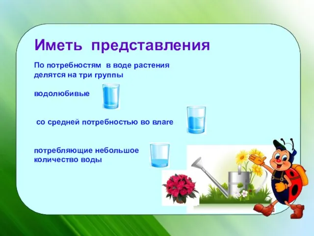 Иметь представления По потребностям в воде растения делятся на три группы водолюбивые