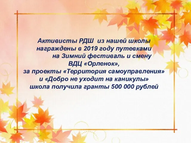 Активисты РДШ из нашей школы награждены в 2019 году путевками на Зимний