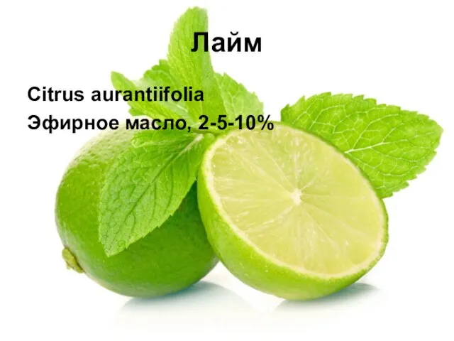 Лайм Citrus aurantiifolia Эфирное масло, 2-5-10%