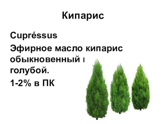 Кипарис Cupréssus Эфирное масло кипарис обыкновенный и кипарис голубой. 1-2% в ПК