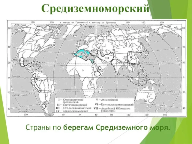 Средиземноморский Страны по берегам Средиземного моря.