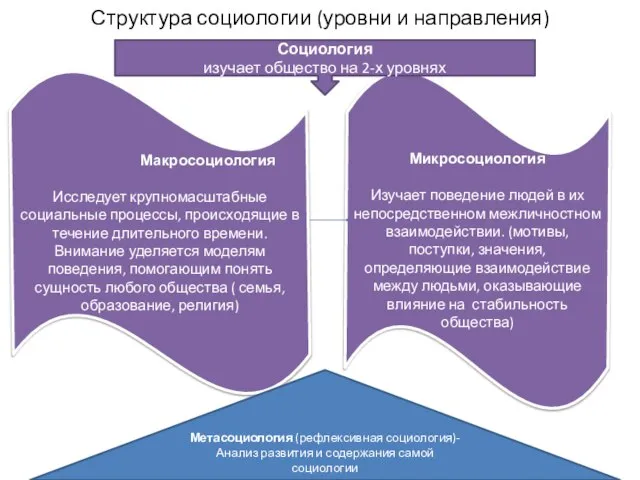 Микросоциология Изучает поведение людей в их непосредственном межличностном взаимодействии. (мотивы, поступки, значения,