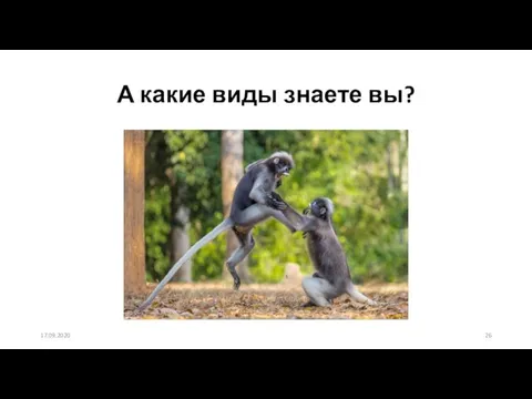 А какие виды знаете вы? 17.09.2020