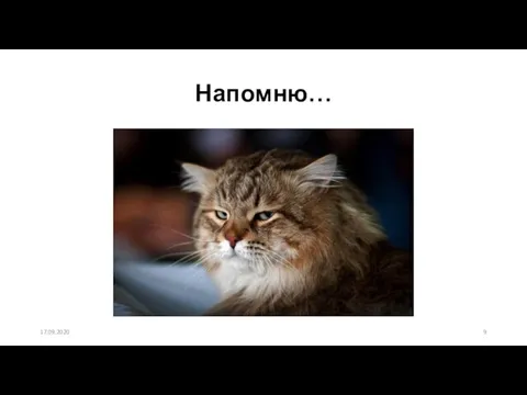 Напомню… 17.09.2020