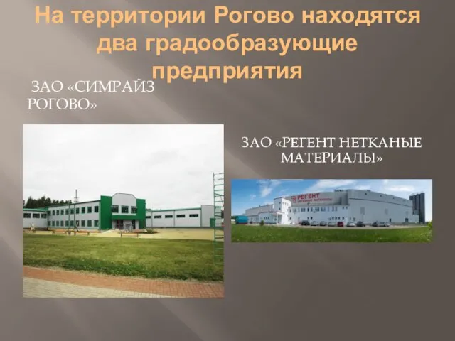 На территории Рогово находятся два градообразующие предприятия ЗАО «СИМРАЙЗ РОГОВО» ЗАО «РЕГЕНТ НЕТКАНЫЕ МАТЕРИАЛЫ»