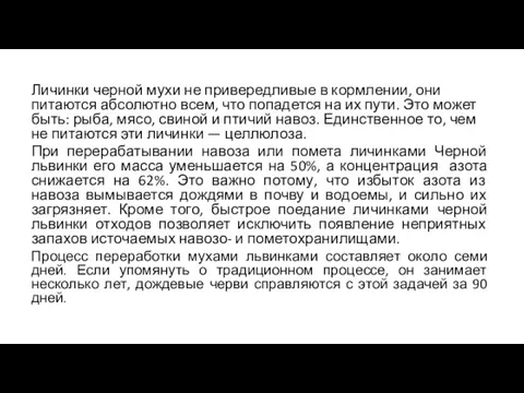 Личинки черной мухи не привередливые в кормлении, они питаются абсолютно всем, что