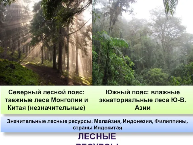 ЛЕСНЫЕ РЕСУРСЫ Северный лесной пояс: таежные леса Монголии и Китая (незначительные) Южный