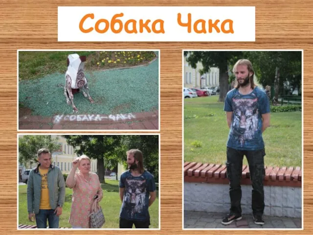 Собака Чака