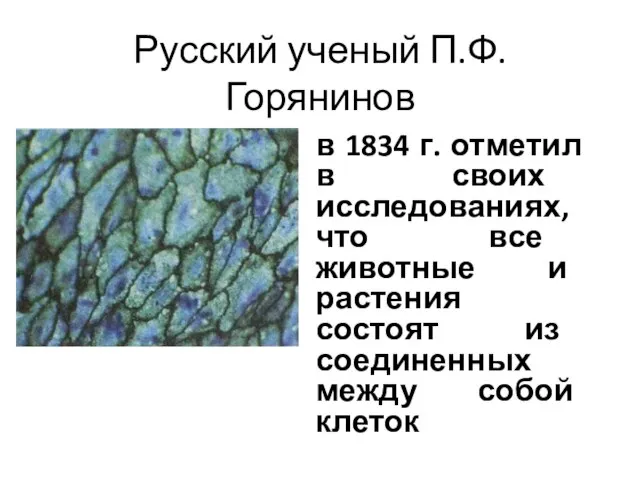 Русский ученый П.Ф. Горянинов в 1834 г. отметил в своих исследованиях, что