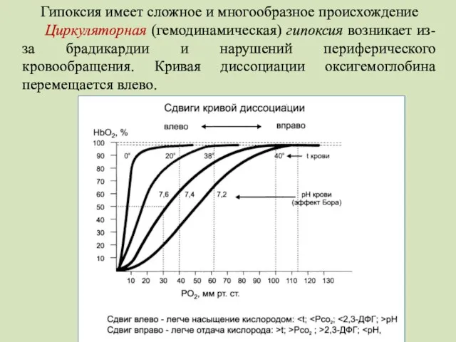 Гипоксия имеет сложное и многообразное происхождение Циркуляторная (гемодинамическая) гипоксия возникает из-за брадикардии