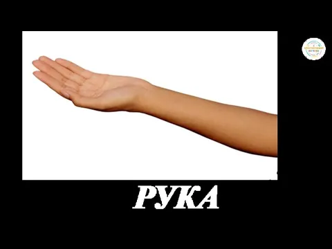 РУКА