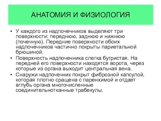 АНАТОМИЯ И ФИЗИОЛОГИЯ У каждого из надпочечников выделяют три поверхности: переднюю, заднюю